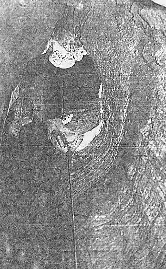 Gregg Ford on the last pitch in 89-14.