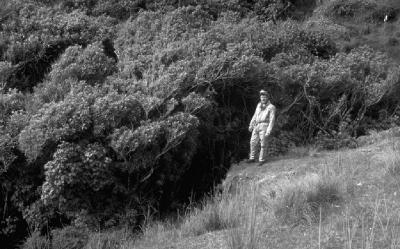 it took some finding