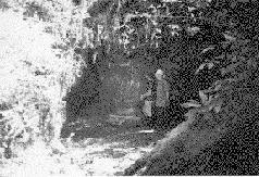 Entrance Nettlebed Cave Nelson