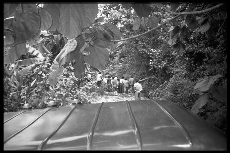 Not trees on the line again?