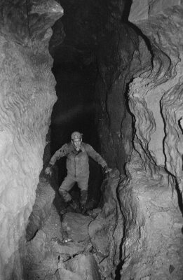 Roy Morgan in a vadose modified phreatic passage