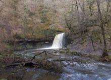 Waterfalls walk (Paul Stacey)