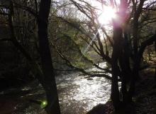 Waterfalls walk (Paul Stacey)