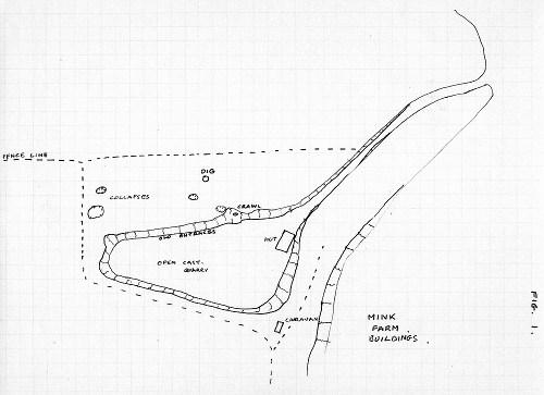 Baldwyns Folley Mine