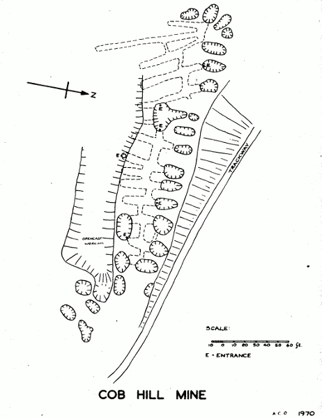 Cob Hill Mine