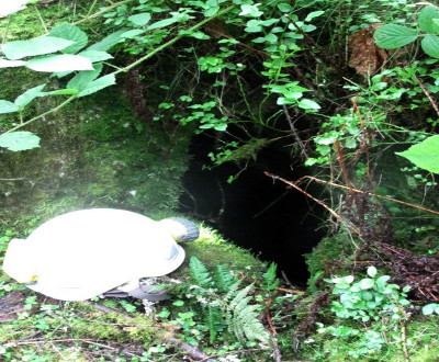 45B Cave