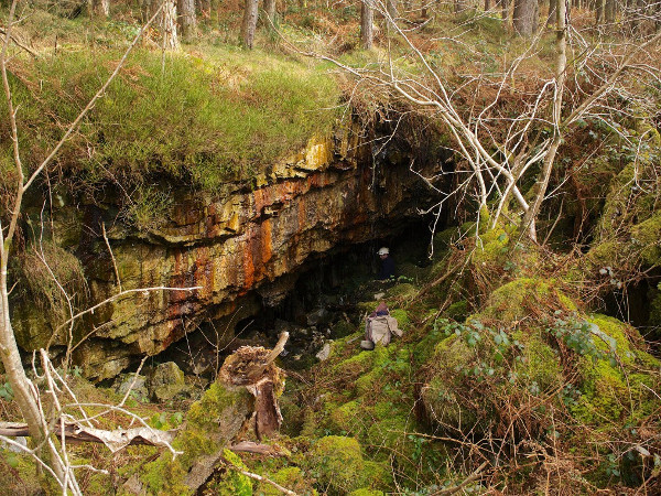 45D Rockshelter