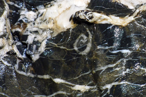 MVeined rock in Suzuki Chamber. (pic: Peter Hamilton)